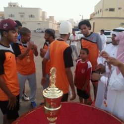 ملعب أبن وحيد الرياضي