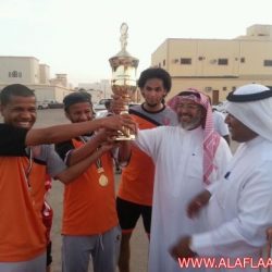 ملعب أبن وحيد الرياضي