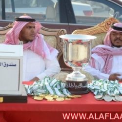 طارق العزمة