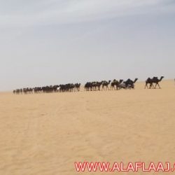 زيارة صاحب السمو الأمير سلطان بن محمد آل سعود في ضيافة رجل الأعمال حسن بن شايع الدوسري