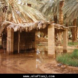 مسجد في البديع 2