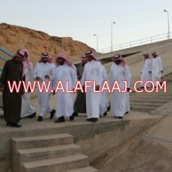 بلدي الهدار