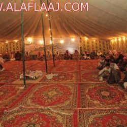 ختام ديوانية الحي بالسيح