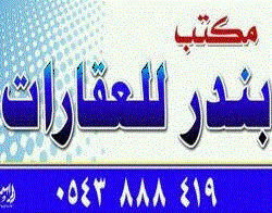 جانب من الحفل
