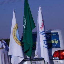 معهد الشبكة