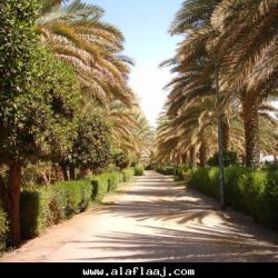 التشدد والأرهاب