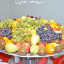 تكريم المجلس البلدي السابق