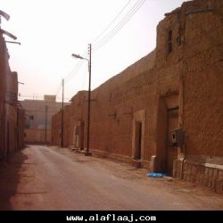 دخلة ولك نصف قيمته بعد البيعة ؟