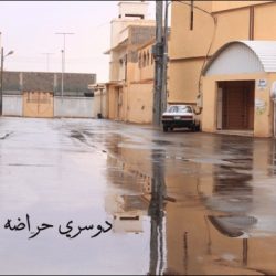 كلية العلوم والدراسات الإنسانية