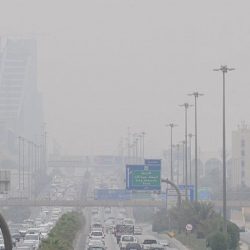 أمطار الرياض 4-1-1433هـ