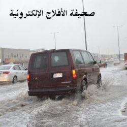 أمطار الرياض 4-1-1433هـ