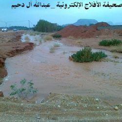 أمطار الجويفا الثلاثاء 4-1-1433هـ