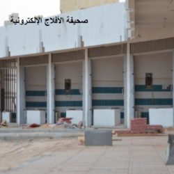سوق الخضار واللحوم