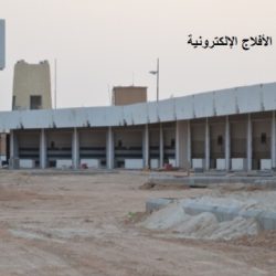 سوق الخضار واللحوم