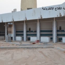 سوق الخضار واللحوم
