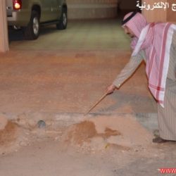 حطب