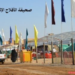 حفريات بلا علامة