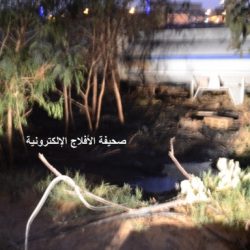 بنك الدم