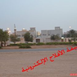 المتاحف