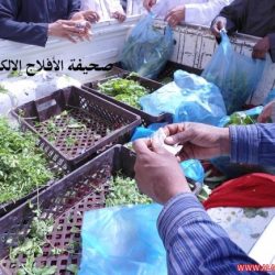 موجة غبار يوم السبت 3–4–1433هـ