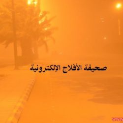 موجة غبار يوم السبت 3–4–1433هـ