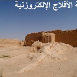 قصر النشمي في السيح