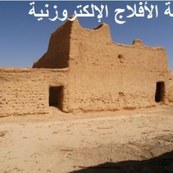 قصر النشمي في السيح