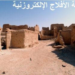 قصر النشمي في السيح