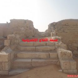 اللاعب سالم الدوسري