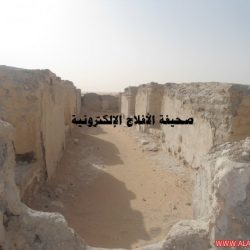 قرية الفاو في وادي الدواسر