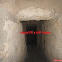 قرية الفاو في وادي الدواسر