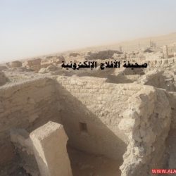 قرية الفاو في وادي الدواسر