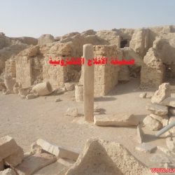 قرية الفاو في وادي الدواسر