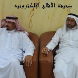 المراكز الصيفيه