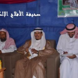 المراكز الصيفيه