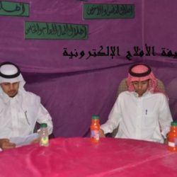 المراكز الصيفيه