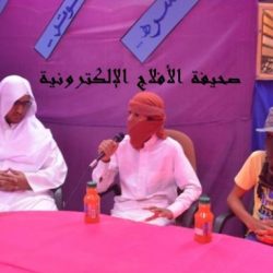 المراكز الصيفيه