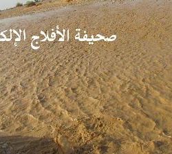 أمطار وسيول الأحمر 4-9-1433هـ