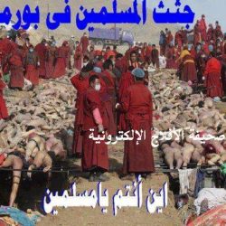 المسلمين في بورما