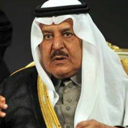 إجراء تعديلات على نظام الخدمة المدنية