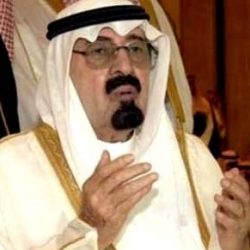 وزير الزراعة: استيراد الأغنام من البرازيل لأسعارها المعقولة  