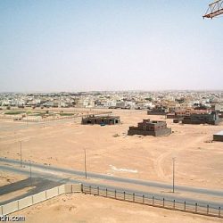 أثبتوا بأنهم الأفضل وقدموا مستوى ملفت